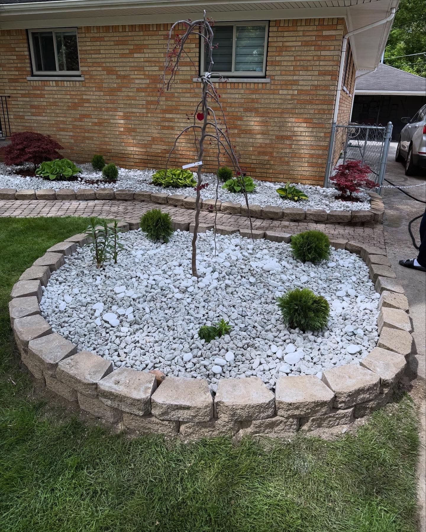 Circular paver bed with white gravel and evergreens — AquaPro hardscape installation in Metro Detroit